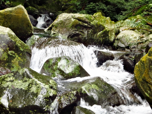 小觀音山(西,主峰)與大屯溪古道/三板橋24761