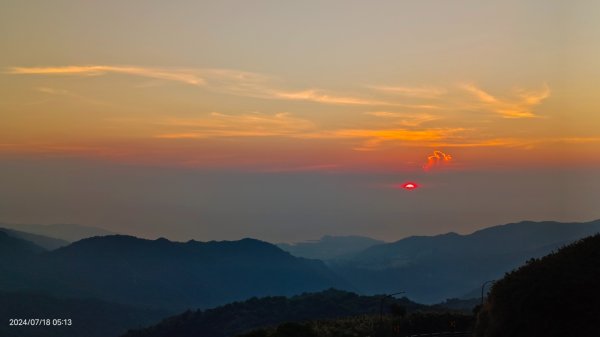 雲山水花鳥蝶 - 天龍國阿伯的日常7/18 & 21、22、292553973