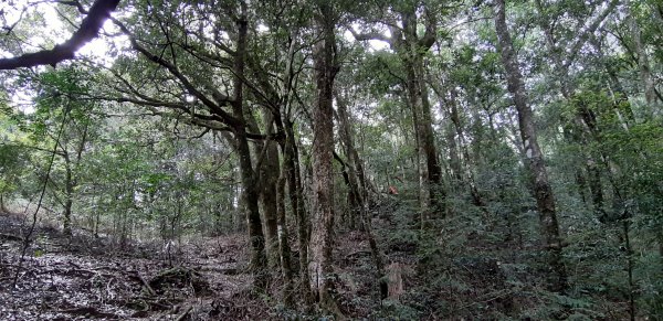 白姑大山之旅743417