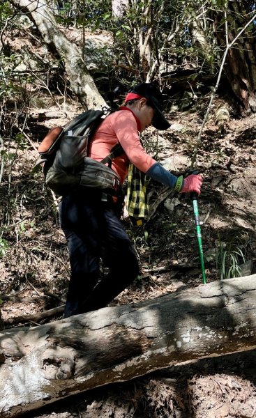 【谷關七雄】波津加(H1771.6m)肉腳配速成功2670574