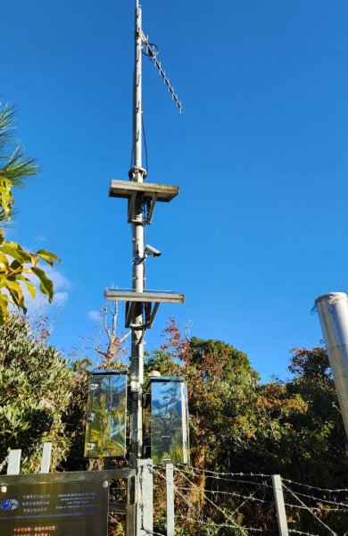 【中級山縱走】羅馬縱走，走進神木的夢幻童話森林世界2943168