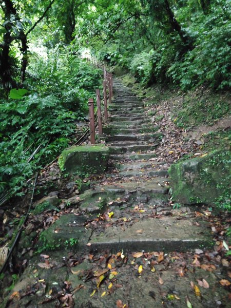 微笑山線：【二格山系】銀河洞越嶺段2841277