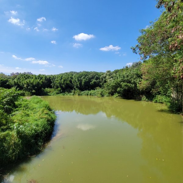 靑草湖環湖步道1838737