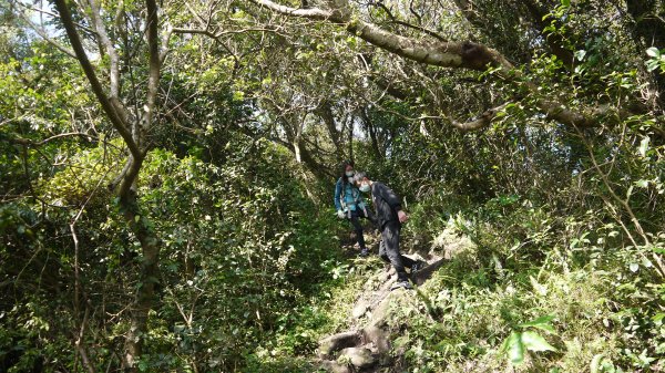 觀音山登山健行趣(小百岳05號)1632398