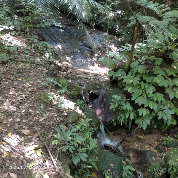 皮皮：六寮古道+獅山古道2838683