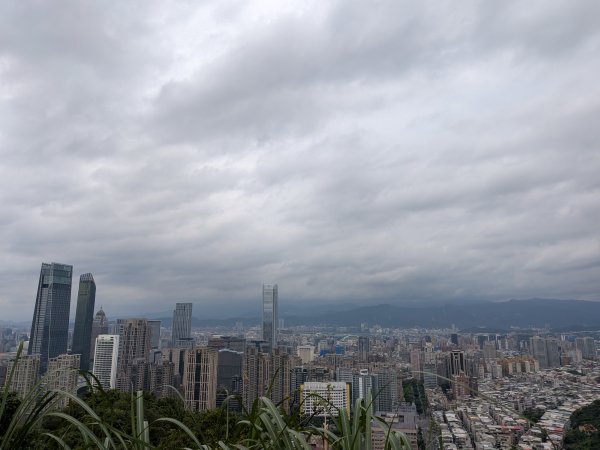 2025-05-17 三進三出九五峰 (象山、中華科大、麗山橋)2796891