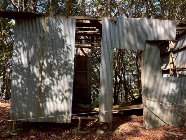 🌈3/7（六）谷關七雄波津加~大雪山進谷關出✨FB：熊熊趴爬走🌈3011492