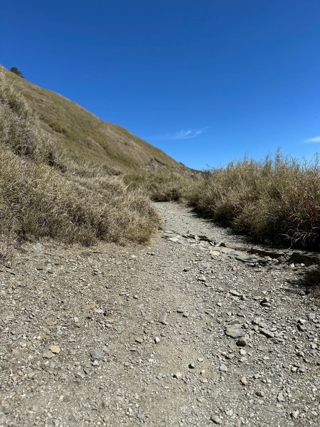 小奇萊步道2777612