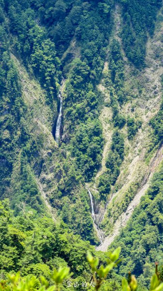玉山主東北3087233