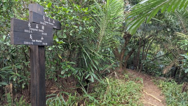 114.11.22鳶山彩碧-鳶山-鳶尾山之旅2943527