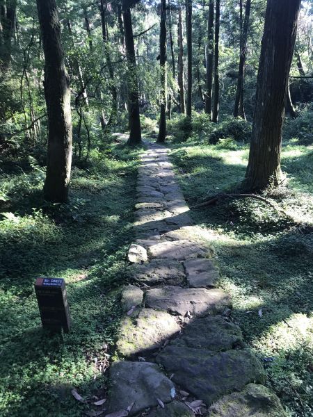 陽明山東西大縱走146741