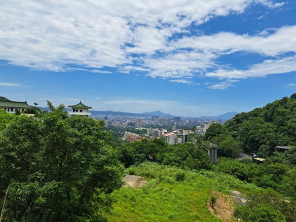 2026微笑山線望月亭桐花段3103855