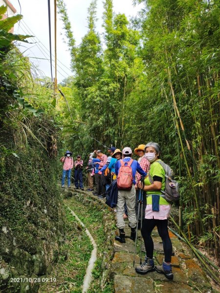 漫遊坪頂古圳步道→清風亭→大崎頭步道→聖人瀑布1499208