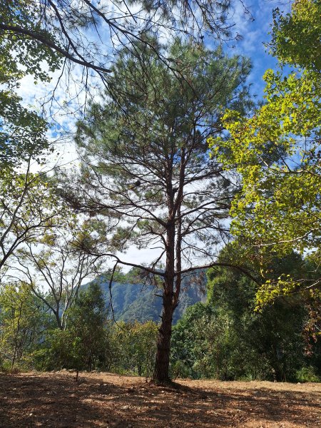 上谷關山202511202940873