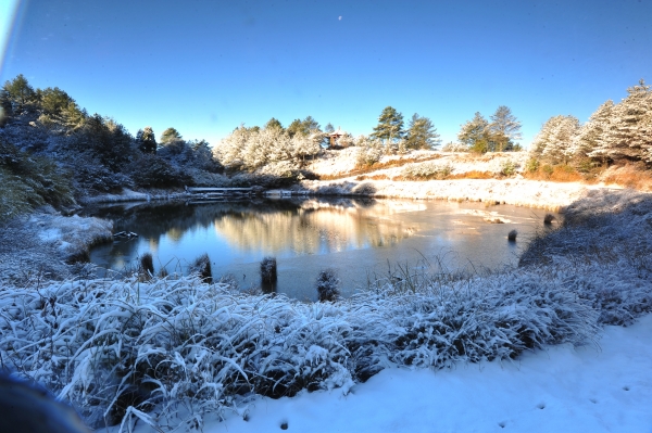 【新聞】周末大雪山有機會降雪，上山請做好準備!