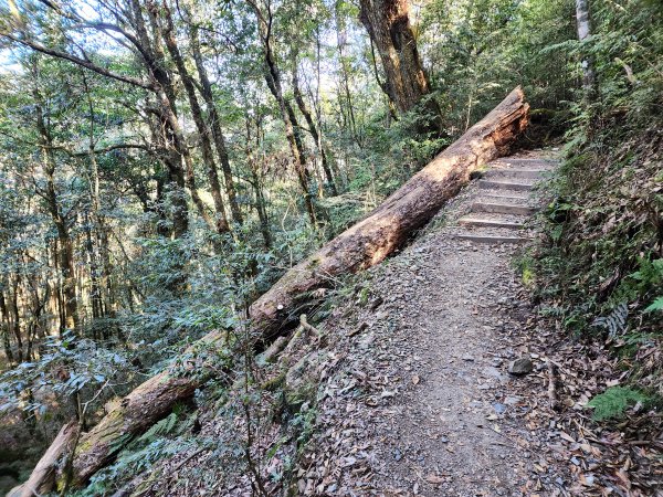 小百岳集起來-稍來山2181429