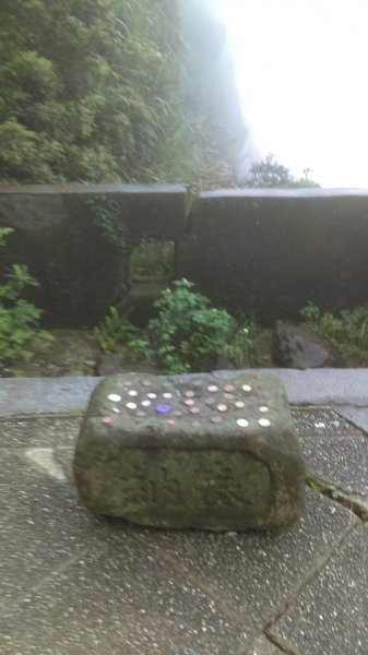 黃金三稜→燦光寮山小百岳，黃金博物館O548286