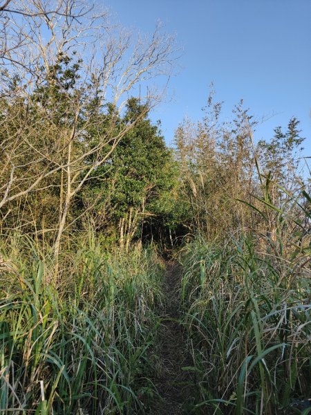 2024.02.01 凌空廊道登煤源山2843935