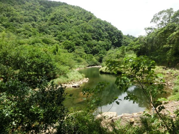 北勢溪古道．黑龍潭．灣潭古道145493