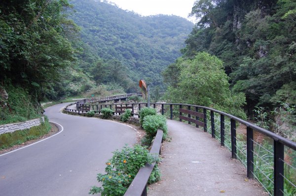 坪林金瓜寮溪步道1957848