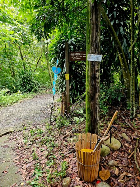 九九峰森林步道-(南投)臺灣百大必訪步道2805915