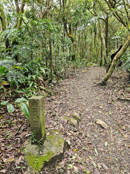 2025年臺北大縱走第四段：風櫃口至中華科大2756001