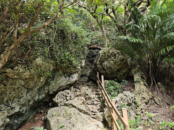 [百山百鳥尋旅-02/15] 2025_0809 社頂自然公園步道2857069