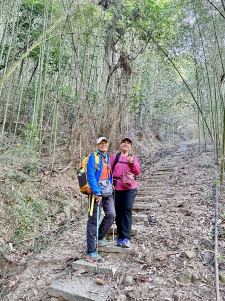 再訪八通關社寮古道登陳東坑山    2025.11.252946098