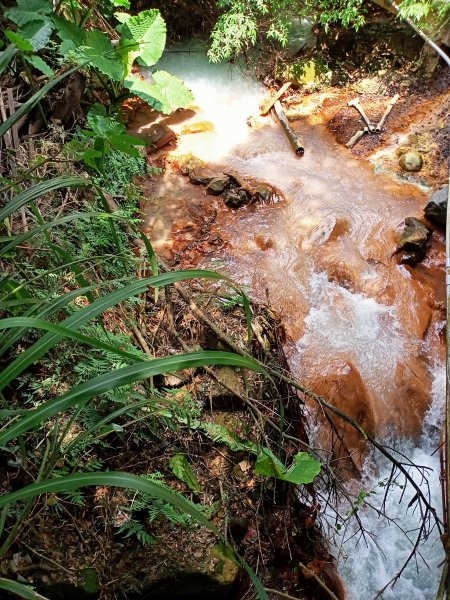 2-2 紗帽路旁磺溪祕境→白雲瀑布→陽明山前山公園→陽明醫院舊址1825897