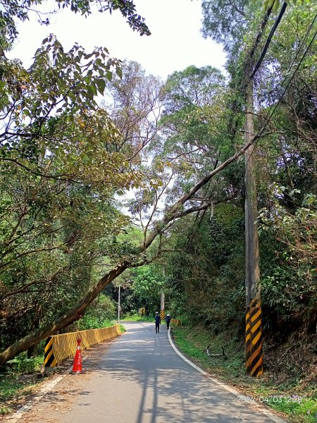 【臺北大縱走5 第二回合】碧山巖→忠勇山越嶺步道→金龍產業道路→圓明寺、鄭成功廟步道→文間山→劍潭山2472399