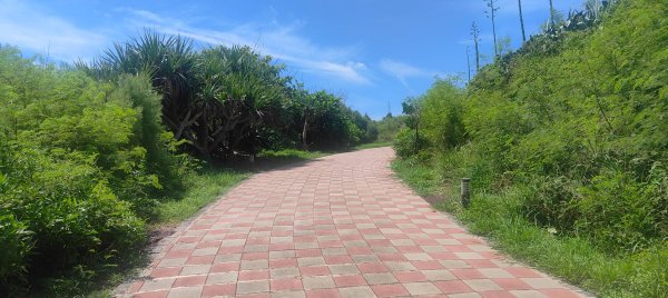 青灣仙人掌公園2872094