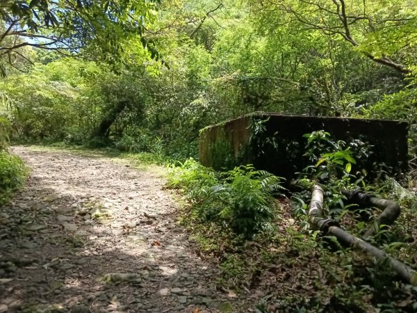 雙溪區淡蘭山徑-燦光寮古道+貂山古道O型2774861