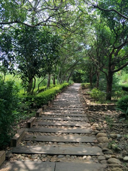 竹坑南寮登山步道1440853