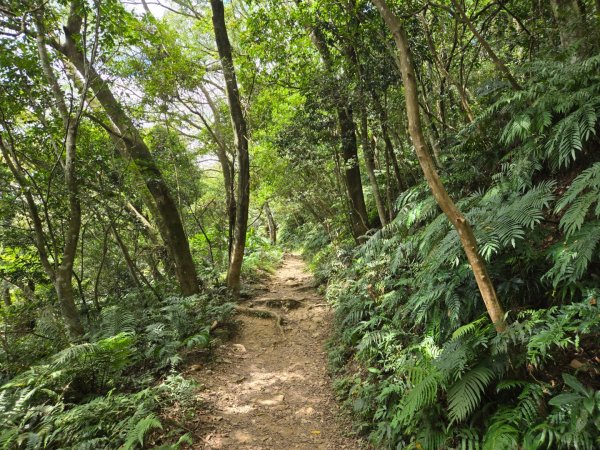 桃園石門山（小百岳）2910056