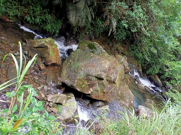 思古幽情的燦光寮古道、楊廷理古道、草山戰備道、黃金神社步道1854694