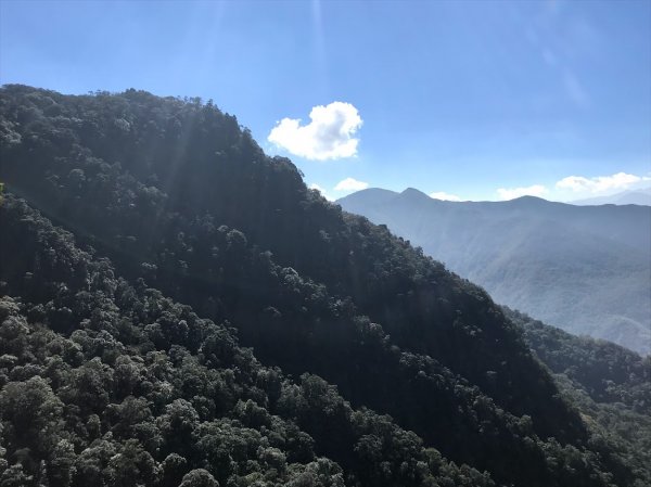 內鳥嘴山賞山毛櫸順遊北得拉曼巨木步道神木群201811071964055