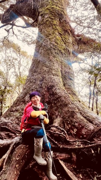 🌈4/13（日）（三）魔法森林-塔曼山~FB：熊熊趴爬走🌈2761313