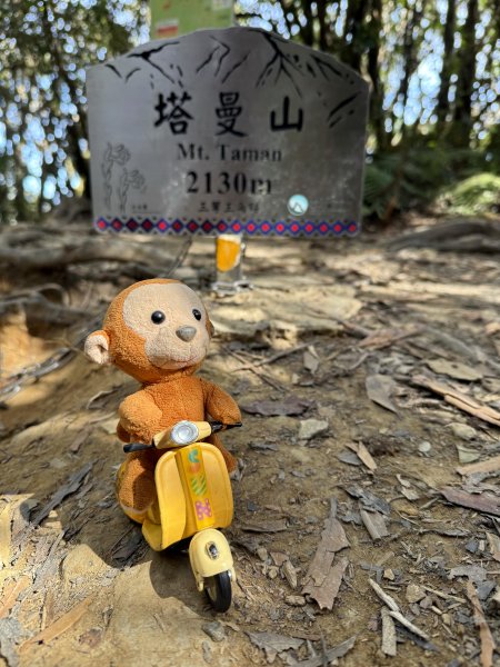 塔曼山 連走 拉拉山森林遊樂區 O繞 202510112923665