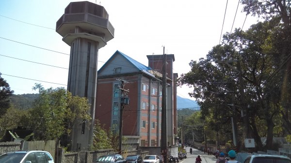 絢麗燦爛的滬尾櫻花大道、景致優美的天元宮874751