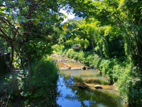 城市清涼桃花源：土城桐花公園步道632893