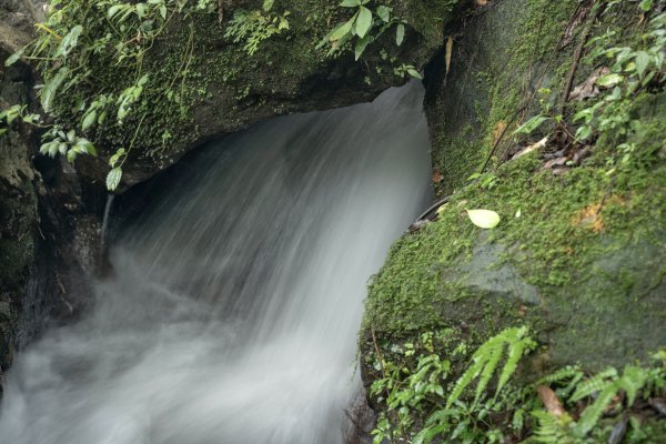 草山避暑3081690