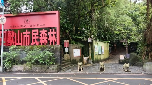 信義區虎山溪步道-岩刻佛像岩下路-四獸山步道-拇指山-南港山-九五峰-麗山橋口步道3076158