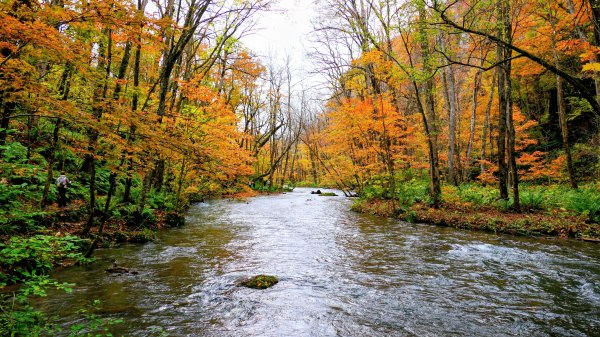 青森縣奧入瀨溪2929980
