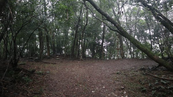 冷埤登山健行趣2447559