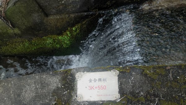 台北狗殷勤古道上平菁42巷下溪山古道賞櫻行2704901