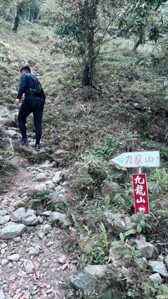雞九凍縱走3074983