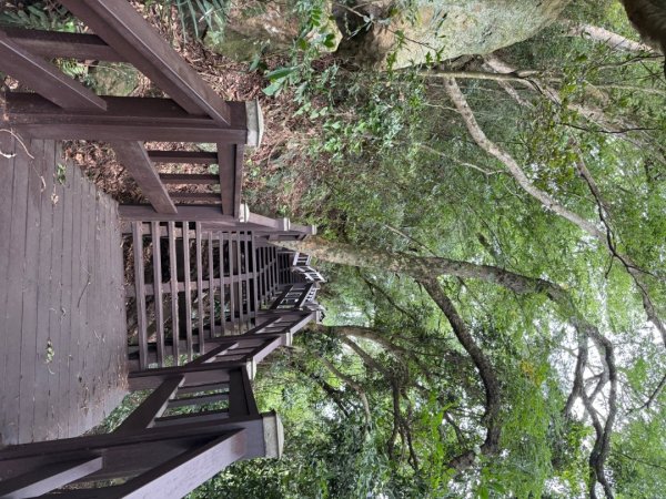 后里觀音山 鳳凰山2816249