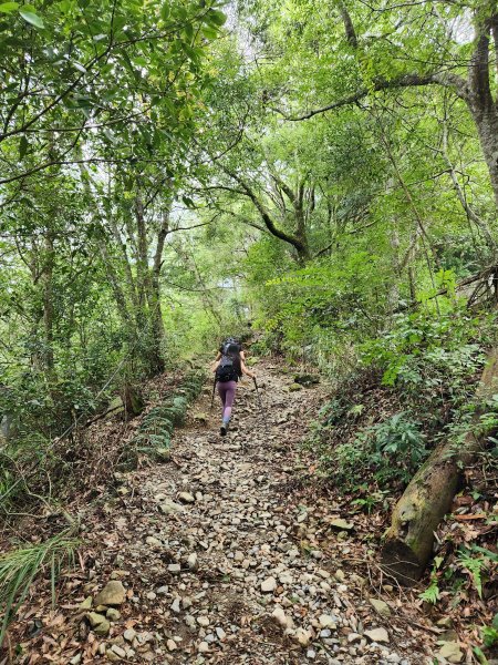 20230819 谷關七雄初登板-二哥馬崙山，白冷冰棒2255605