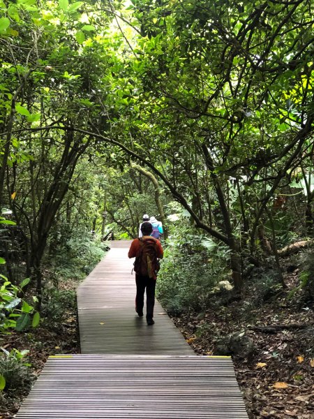 2020.10.01南壽山1119737