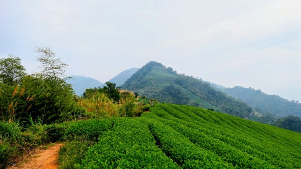 雲嘉五連峰2948640